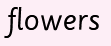 0300xmub-32c8-111x46.png