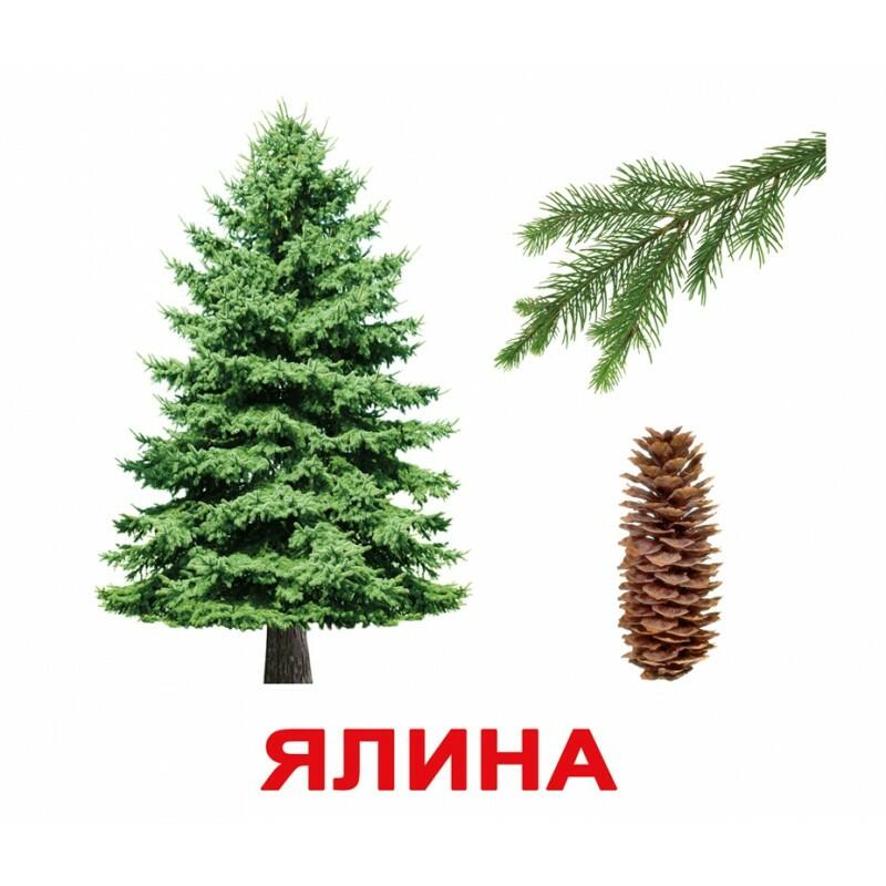 0300xnwk-9f89-800x800.jpg
