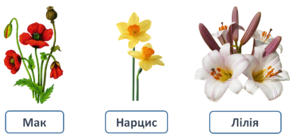 0300xo9w-b8cc-300x138.png