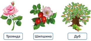 0300xoa7-3c47-311x140.png