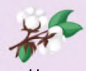 0300xsxv-57e5-86x71.png