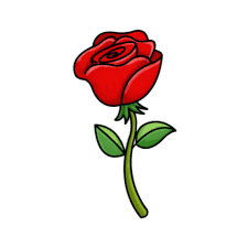 0300xwe3-5b96-225x225.png