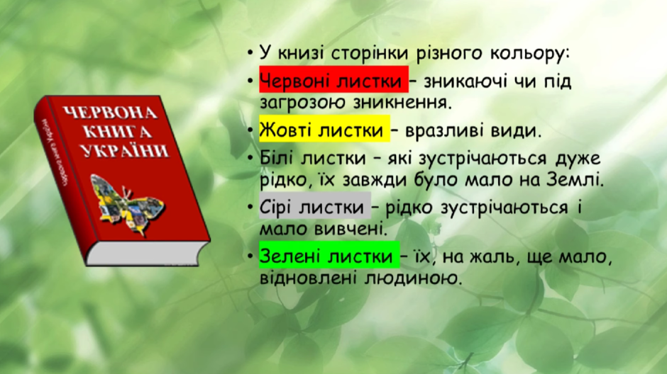 0300y15v-10b8-940x528.png