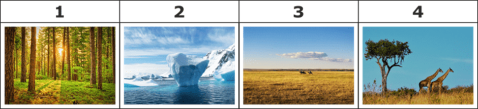 0300y2du-b95a-940x215.png
