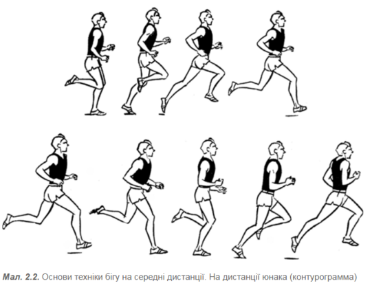 0300y40x-0659-541x425.png