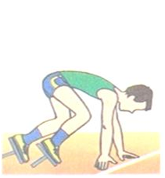 0300y477-d049-331x357.png