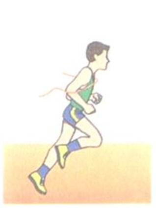 0300y490-a451-318x424.png