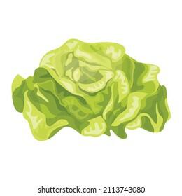Lettuce cartoon Images, Stock Photos & Vectors | Shutterstock