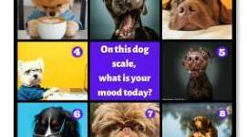 Вправа "Настрій". Mood scale. On the scale of ...