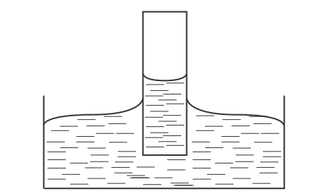 0300y8y1-b282-463x278.png