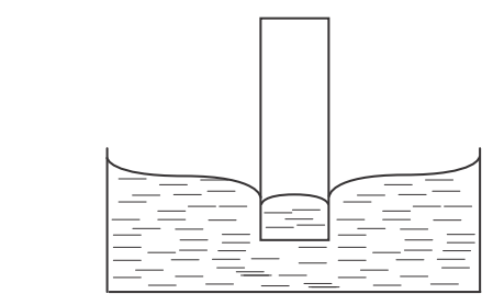 0300y8y5-6ed5-449x278.png
