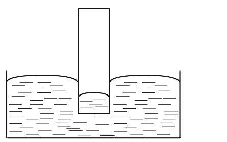 0300y8ya-1f6b-445x278.png