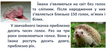 0300y9bc-1b3f-378x178.png