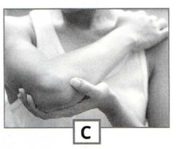 0300ybh3-6a1c-356x296.png