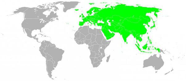 0300ydp4-ce0b-603x264.png
