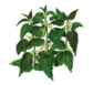 0300ye0r-cd5f-84x77.png