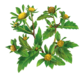0300ye0s-6a04-84x77.png