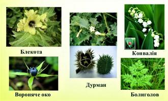 0300ye2b-ca60-330x199.jpg