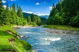 River Direct | LinkedIn