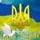 Кушнір Світлана Миколаївна