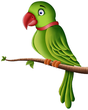 0300ytjc-25fb-88x110.png