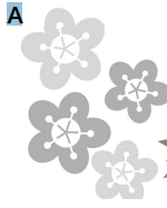 0300yvhw-7381-150x187.png