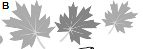0300yvi7-e850-293x102.png