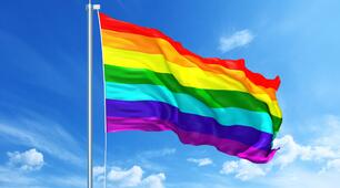 ЗНАЧЕННЯ LGBT (ЩО ЦЕ, ПОНЯТТЯ ТА ВИЗНАЧЕННЯ) - 2022 та інші важливі визначення