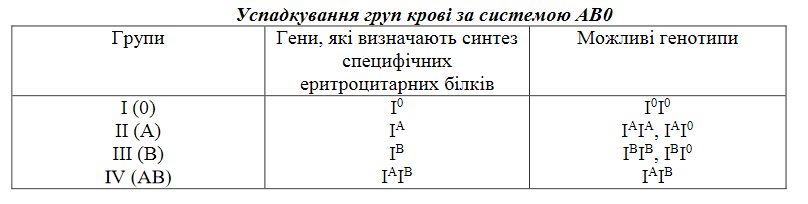 0300z3no-94a1-808x204.png