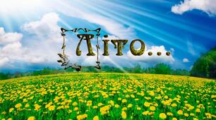Підсумковий тест  ЯДС "Літо в природі"