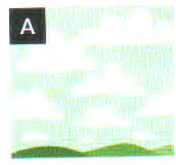 0300z7ae-e4ee-176x165.png