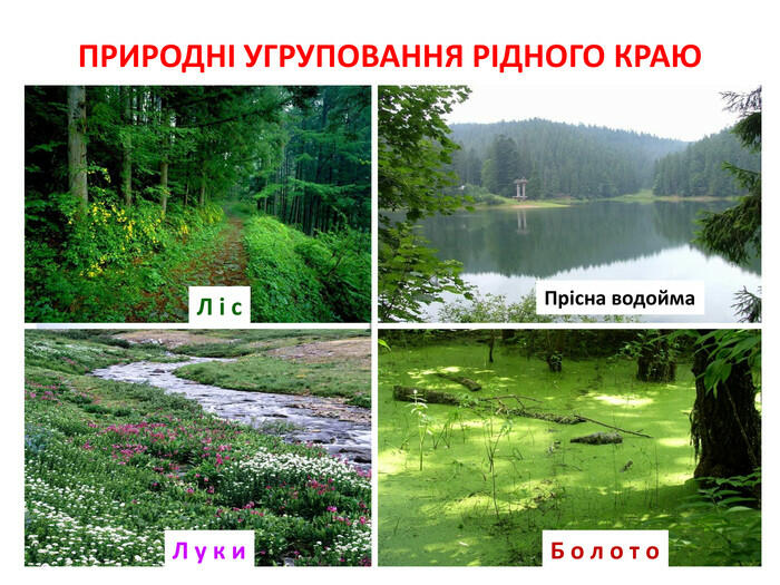 0300z8qo-d546-700x525.jpg