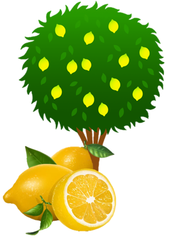 0300zji5-1eb9-356x491.png