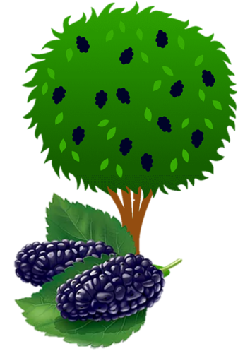 0300zji8-95c5-354x497.png