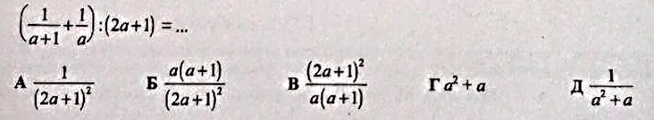 0300zmsu-dbaf-732x135.png