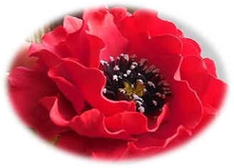 0300zpxc-3e59-328x236.png