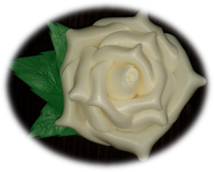 0300zpxg-6926-328x263.png