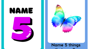 Набір флешкарток for a game "Name 5"