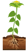 0300zqch-4051-92x171.png