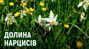 Щоденник мандрівника. Мандруємо Україною