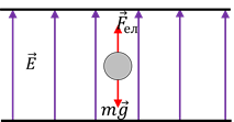 0300zr30-0610-213x111.png
