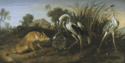 0300ztqs-7d20-264x132.png