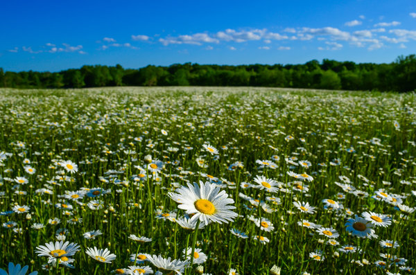 0300zu57-d059-600x397.png