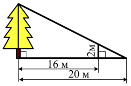 0300zxyt-930e-264x174.png