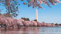 Best Things To Do in Washington DC - Hellotickets