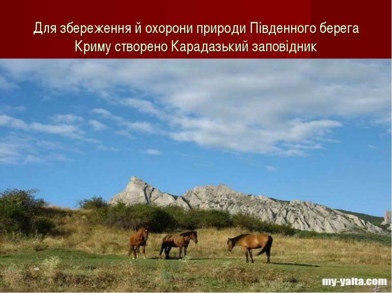 See the source image