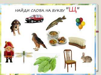 03010029-4450-335x251.jpg