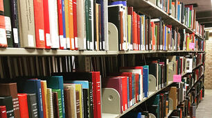 Reading comprehension Test "Librarian Lora"