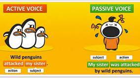 The passive forms: Simple Present, Simple Past