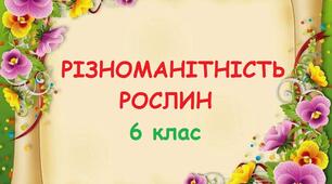 Різноманітність рослин